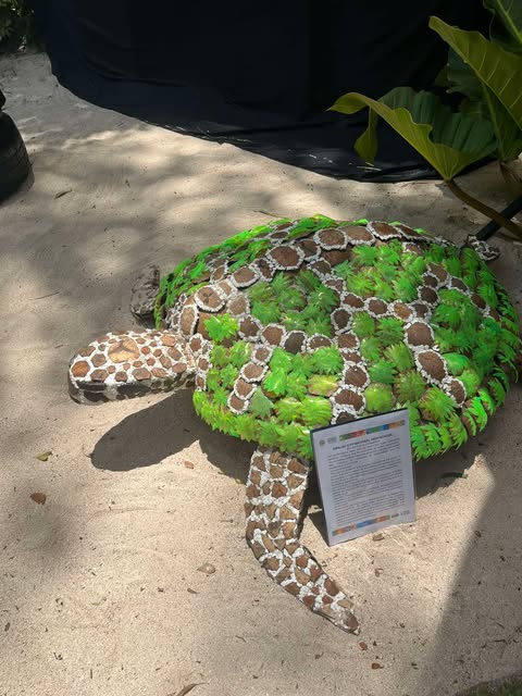 KaSe Activities Center